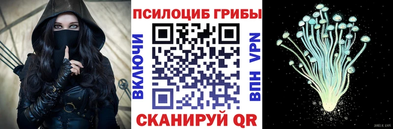 Галлюциногенные грибы Cubensis  darknet телеграм  Аргун 