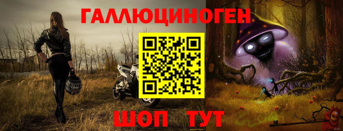 Галлюциногенные грибы Psilocybe Аргун