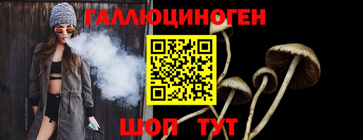 Галлюциногенные грибы Cubensis  Галлюциногенные грибы мухоморы  Аргун 