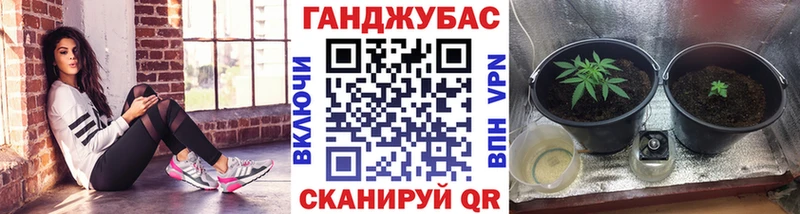 купить наркотик  Аргун  OMG маркетплейс  Бошки Шишки конопля 